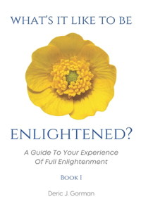 What's It Like To Be Enlightened?