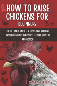 How to Raise Chickens for Beginners