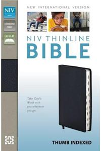 Thinline Bible-NIV