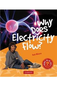 Why Does Electricity Flow?