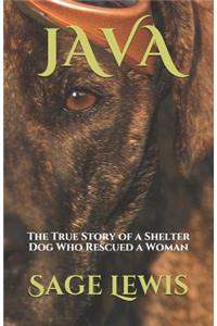 Java