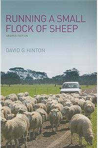 Running a Small Flock of Sheep