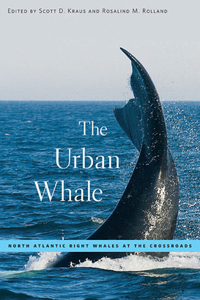 Urban Whale