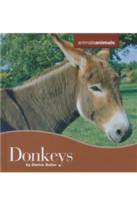 Donkeys