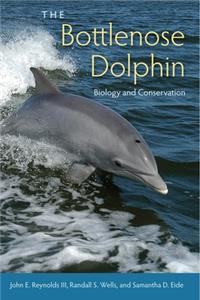 Bottlenose Dolphin