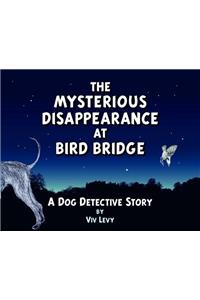 Mysterious Disappearance at Bird Bridge