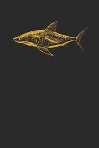 Shark Drawing