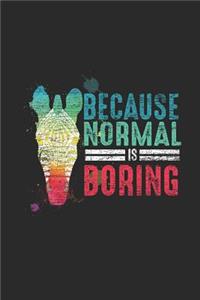 Zebra - Because Normal Is Boring