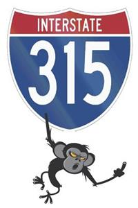 Interstate 315