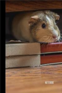 Guinea Pig Notebook