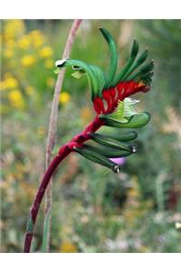 Kangaroo Paw Gardening Journal