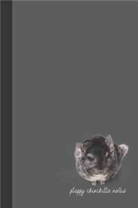 fluffy chinchilla notes