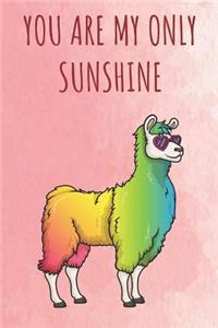 You Are My Only Sunshine