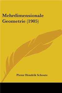 Mehrdimensionale Geometrie (1905)