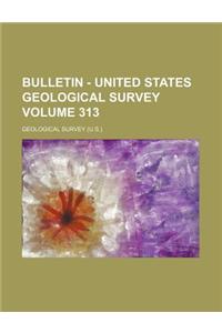 Bulletin - United States Geological Survey Volume 313