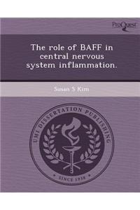 The Role of Baff in Central Nervous System Inflammation