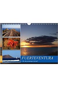 Fuerteventura, L'ile Du Printemps Eternel 2017