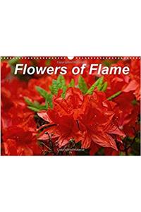 Flowers of Flame 2018