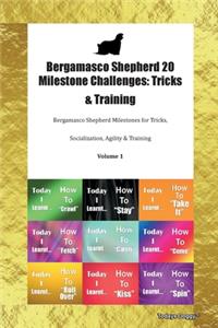 Bergamasco Shepherd 20 Milestone Challenges