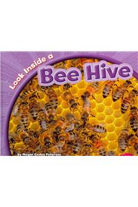 Look Inside a Bee Hive