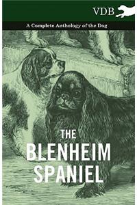 The Blenheim Spaniel - A Complete Anthology of the Dog -