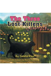 The Three Lost Kittens