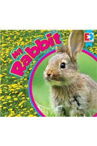 My Rabbit