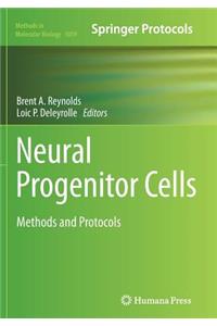 Neural Progenitor Cells