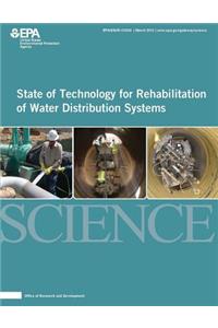 State of Technology for Rehabilitation of Water Distribution Systems