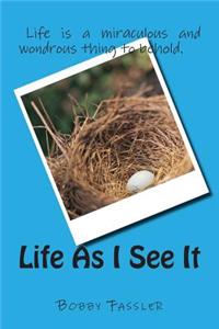 Life As I See It