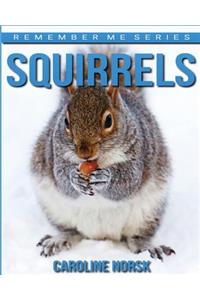 Squirrels