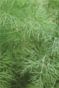 The Fresh Dill Journal