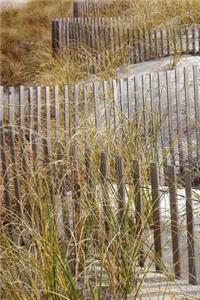 A Fence and Dune Grass at the Beach Nature Journal