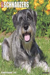 Just Schnauzers 2020 Wall Calendar (Dog Breed Calendar)