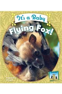 It's a Baby Flying Fox!
