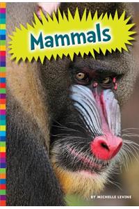 Mammals