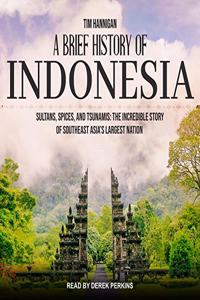 Brief History of Indonesia