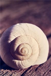 A Spiral Snail Shell Journal