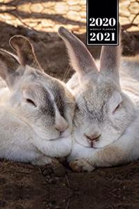 Rabbit Bunny Hare Rodent Week Planner Weekly Organizer Calendar 2020 / 2021 - Head to Head