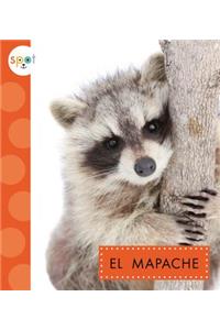 El Mapache (Raccoons)