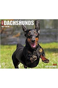 Just Dachshunds 2018 Box Calendar (Dog Breed Calendar)