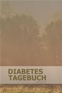 Diabetes Tagebuch: Blutzucker und Insulin im Blick behalten für mehr als 100 Tage - Klein & Kompakt ca. A5