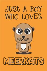 Just A Boy Who Loves Meerkats