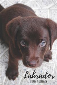 Labrador Puppy Notebook