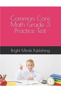 Common Core Math Grade 3 Practice Test