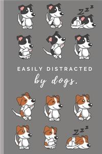 Easily distracted by dogs