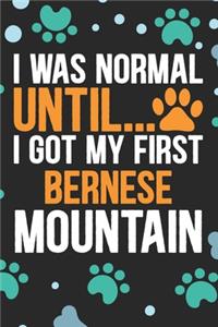 I Was Normal Until I Got My First Bernese Mountain