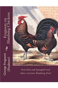 Ferguson on Hamburg Chickens