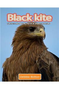 Black Kite: Fun Facts and Amazing Photos of Animals in Nature