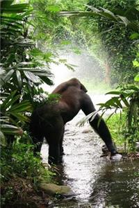 Gorilla in the Jungle